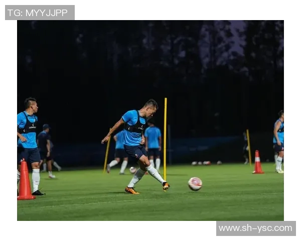 上海绿地申花迎战江苏队争夺胜利全力以赴展现球队实力与拼搏精神