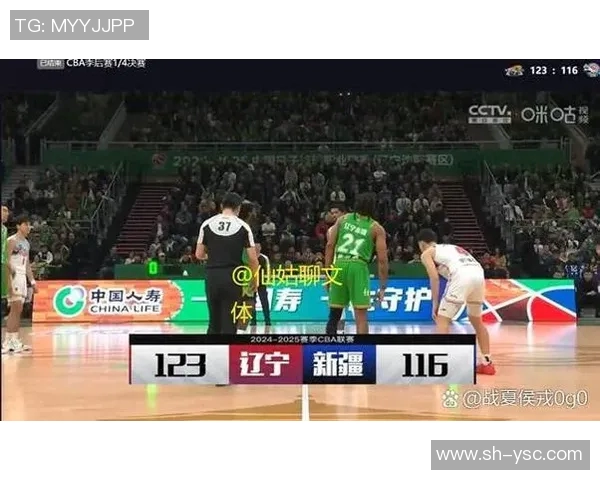 权健与辽宁开心视频精彩对决回顾赛场瞬间与球迷热情齐聚一堂