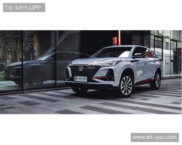 杜海勒与艾茵的巅峰对决谁将成为战斗的最终赢家 杜海勒与艾茵的巅峰对决谁将成为战斗的最终赢家