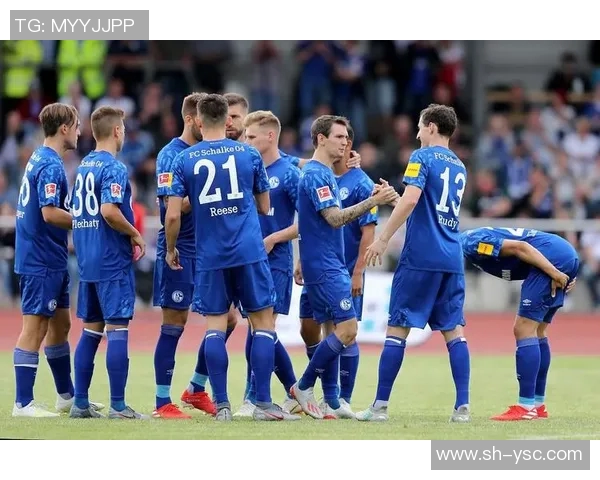 沙尔克与纽伦堡对决前瞻分析谁能在关键战役中占据上风