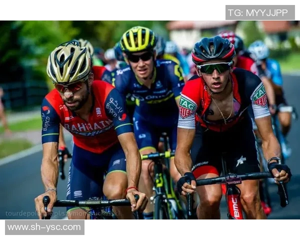 波兰与韩国精彩对决视频回顾赛场瞬间尽在掌握