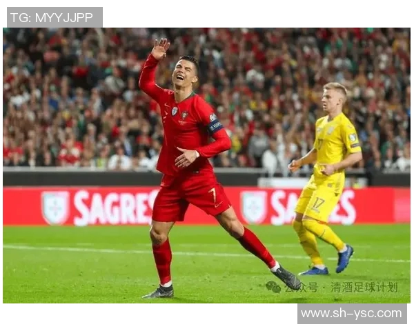 2012年葡萄牙与捷克精彩对决回顾及赛后分析