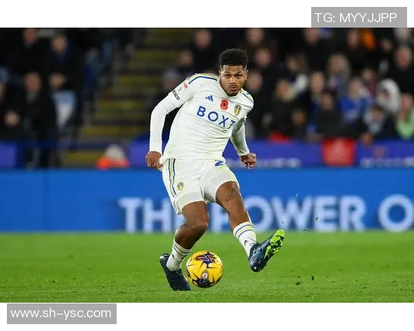 利兹联队近期状态分析与纽卡斯尔对决前瞻 利兹联队近期状态分析与纽卡斯尔对决前瞻