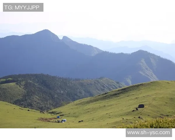 布莱克尼的魅力探秘：历史文化与自然风光的完美融合之旅
