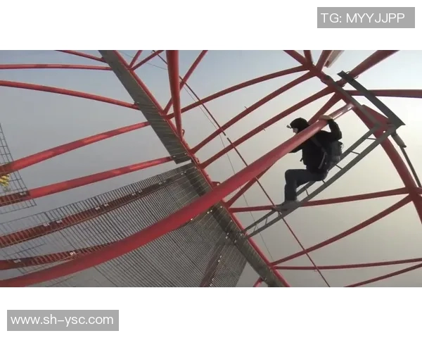 极限运动的魅力与挑战：深入探讨上海极限运动队的运营模式与发展策略