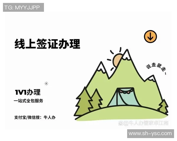 获取VS通行证的详细步骤与注意事项全攻略