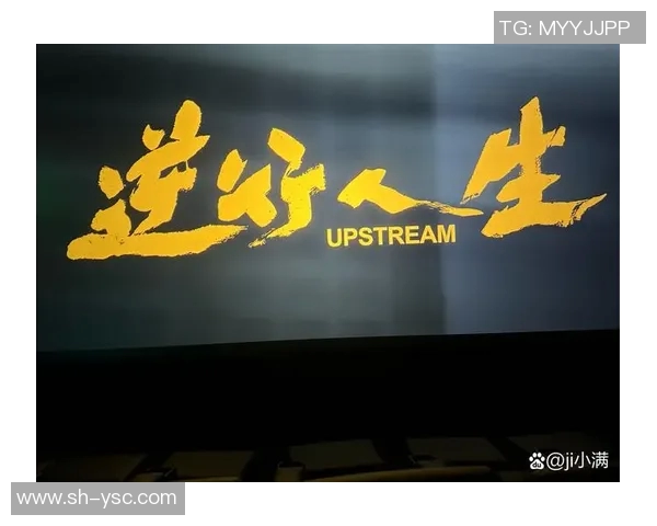 谢什科的传奇旅程：从平凡到卓越的奋斗故事与人生启示