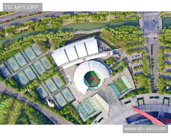 南京网球队创历史新高实力排名跃升引发广泛关注与热议