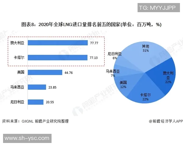 独家解析LNG市场竞争策略与战术对比深度剖析